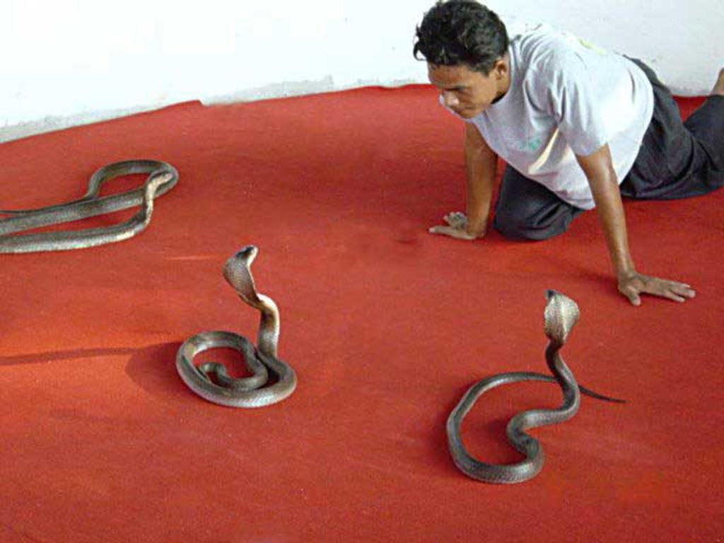 Klong Muang Inn Ban Ko Kwang Dış mekan fotoğraf